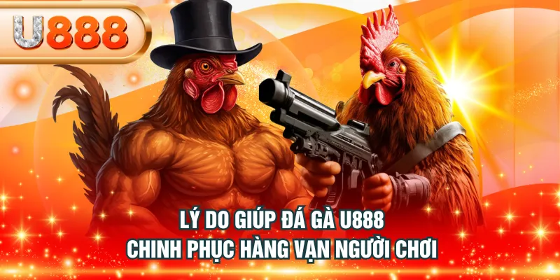 Lý do giúp Đá Gà U888 chinh phục hàng vạn người chơi